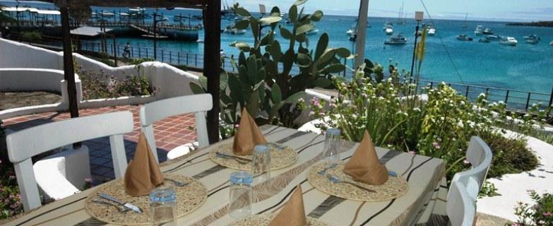 푸에르토 바케리조 모레노 Casa Opuntia B&B 외부 사진